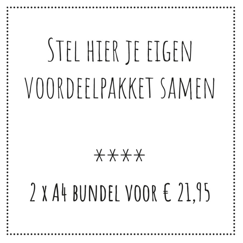 Voordeelpakket A4 bewaarbundels