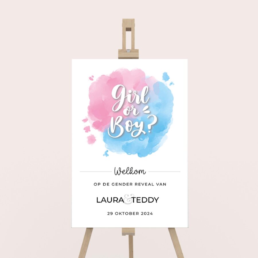 gender reveal welkomstbord clouds koestert