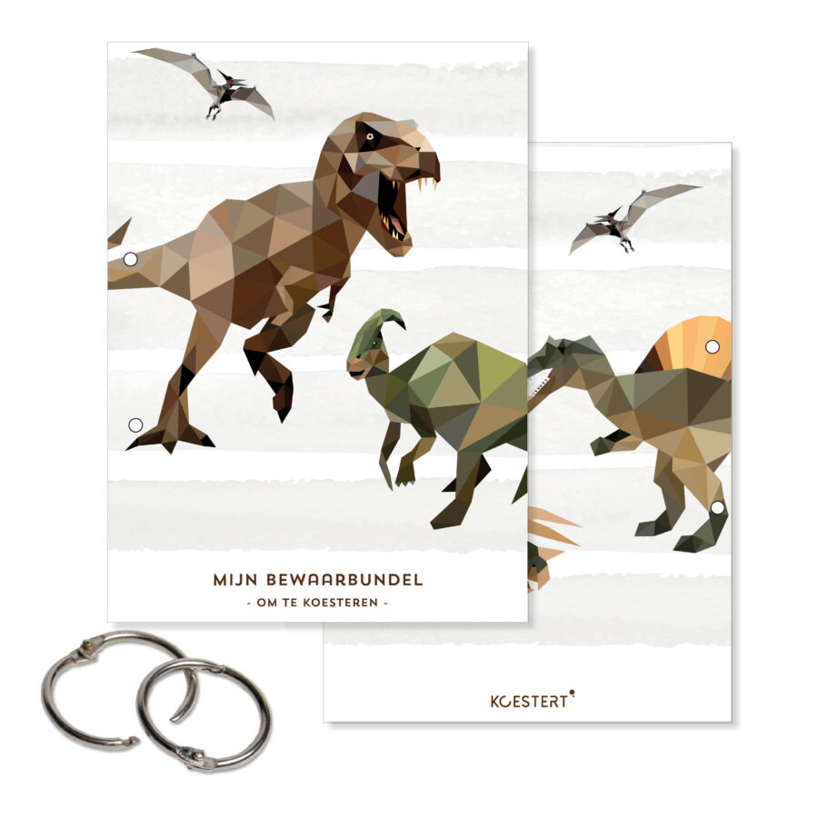 Bewaarbundel | dinowereld