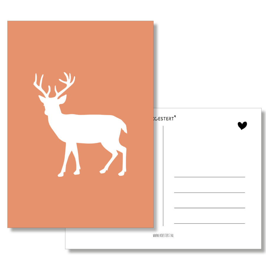 KERSTKAART RENDIER TERRA