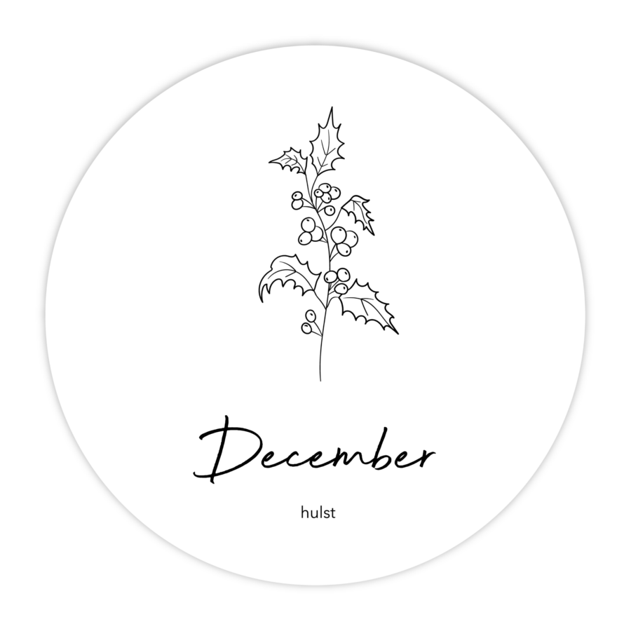 MUURCIRKEL-GEBOORTEBLOEM-DECEMBER