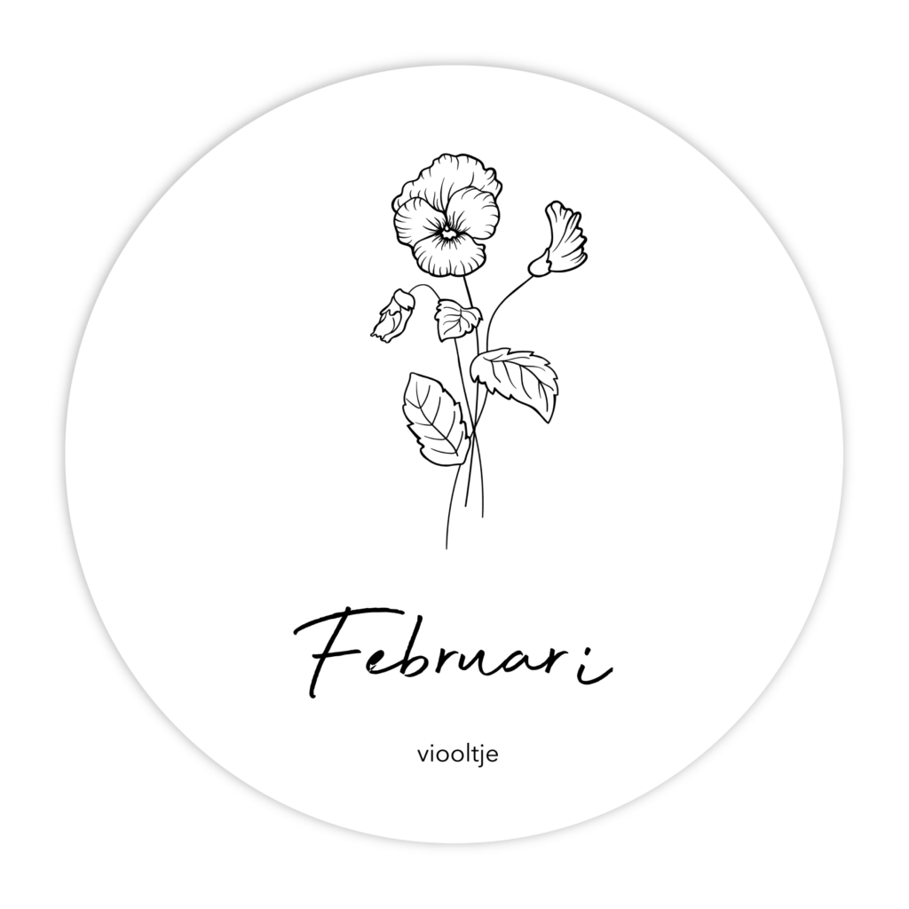 MUURCIRKEL-GEBOORTEBLOEM-FEBRUARI