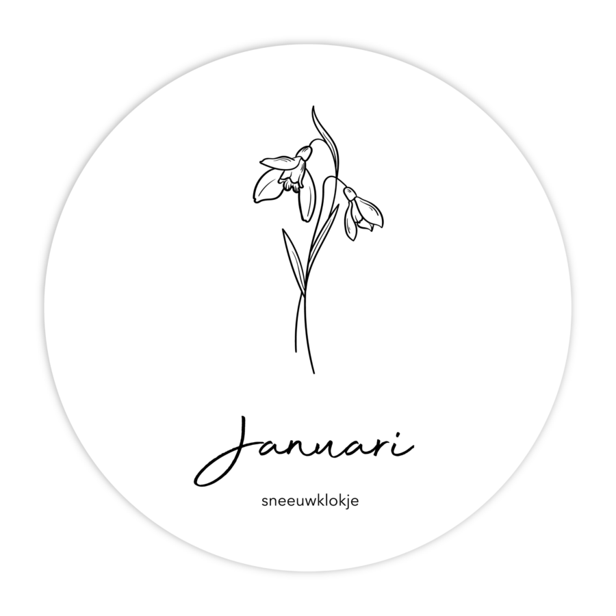 MUURCIRKEL-GEBOORTEBLOEM-JANUARI