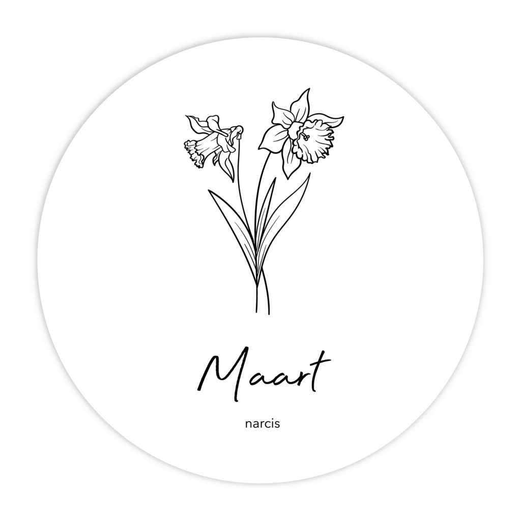 MUURCIRKEL-GEBOORTEBLOEM-MAART