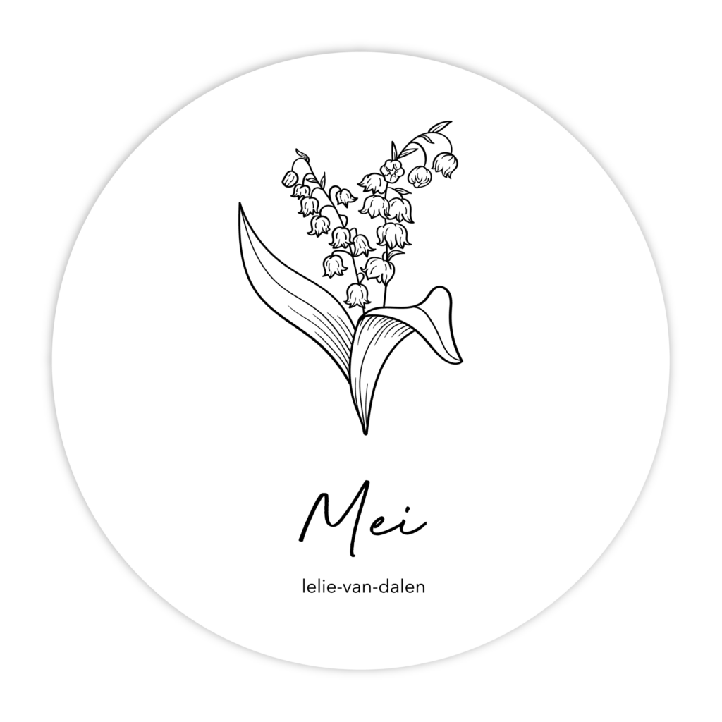 MUURCIRKEL-GEBOORTEBLOEM-MEI