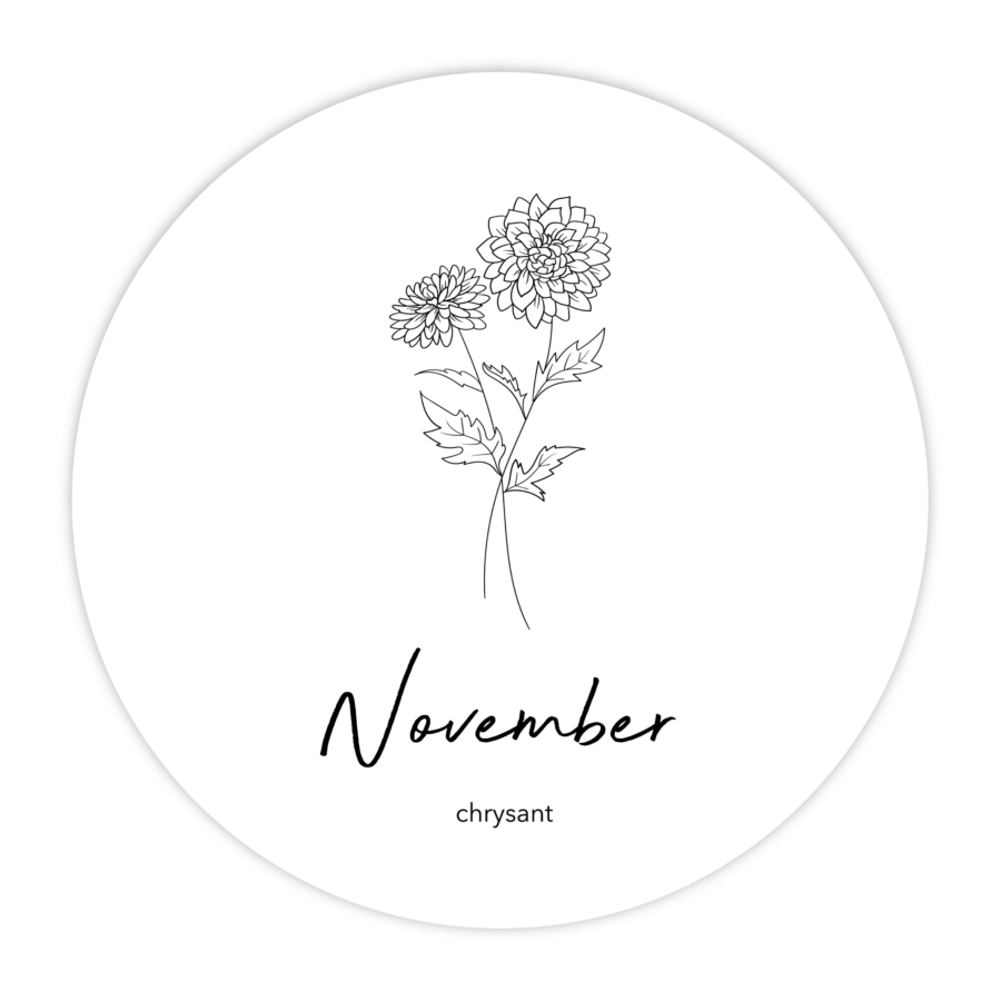 MUURCIRKEL-GEBOORTEBLOEM-NOVEMBER