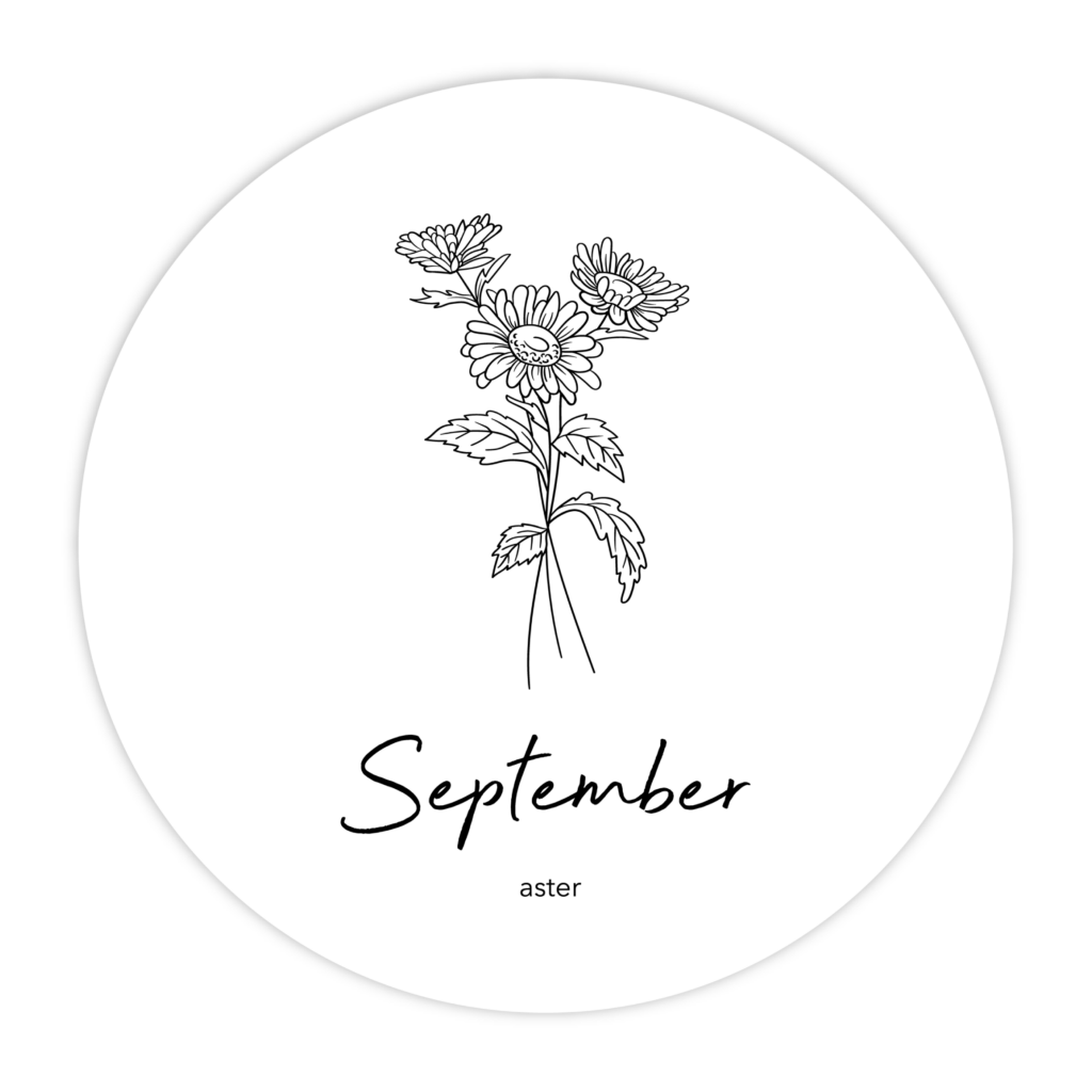 MUURCIRKEL-GEBOORTEBLOEM-SEPTEMBER
