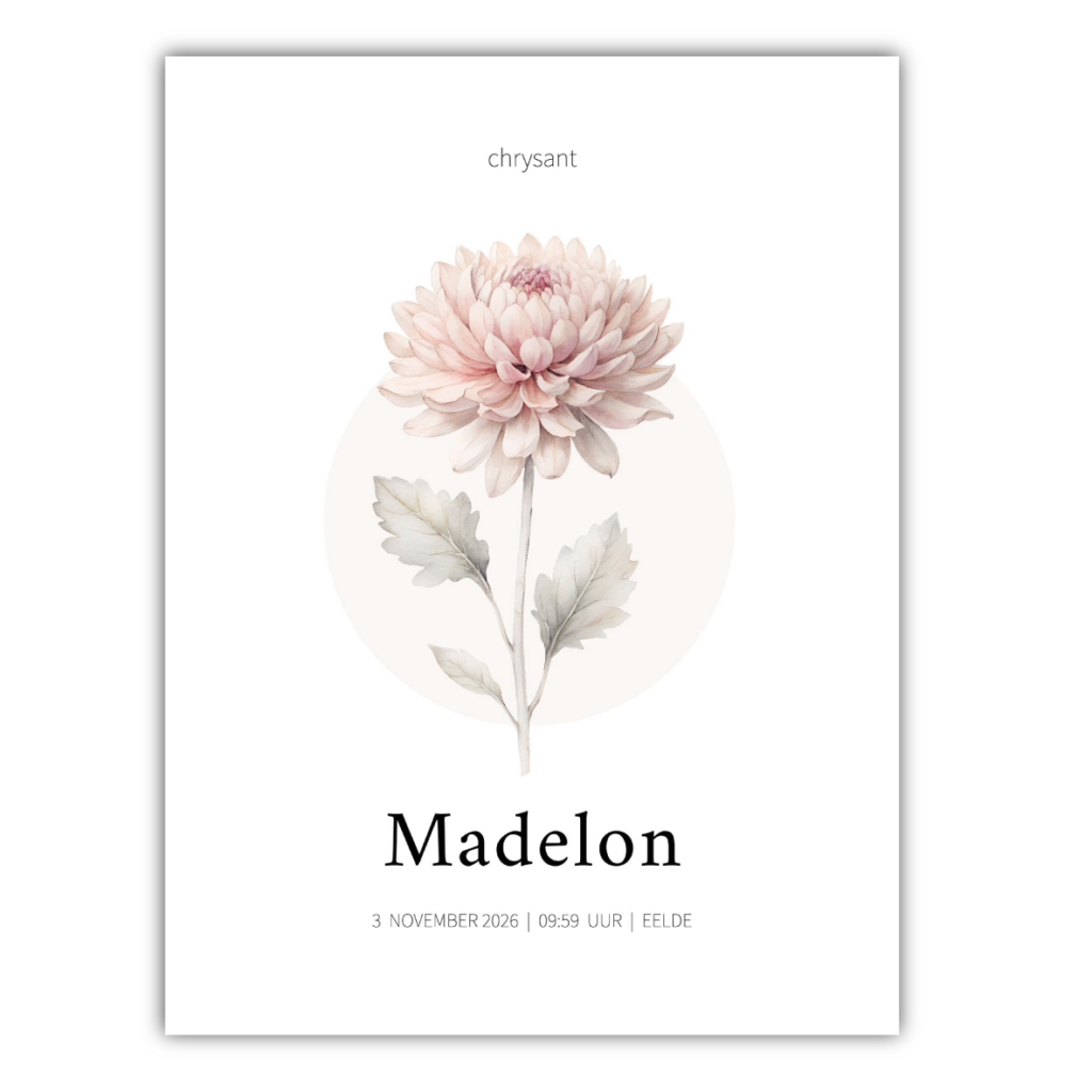 geboortebloem-geboorteposter-november