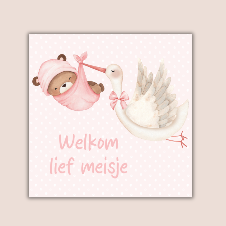 Forex tegel- welkom lief meisje - ooievaar roze