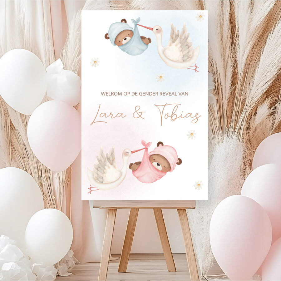 Gender reveal welkomstbord blauwe en roze ooievaar