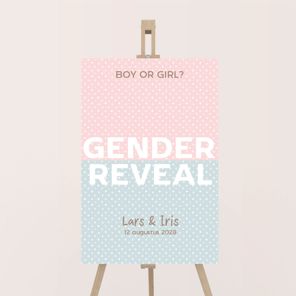 Welkomstbord-Genderreveal-gestipt
