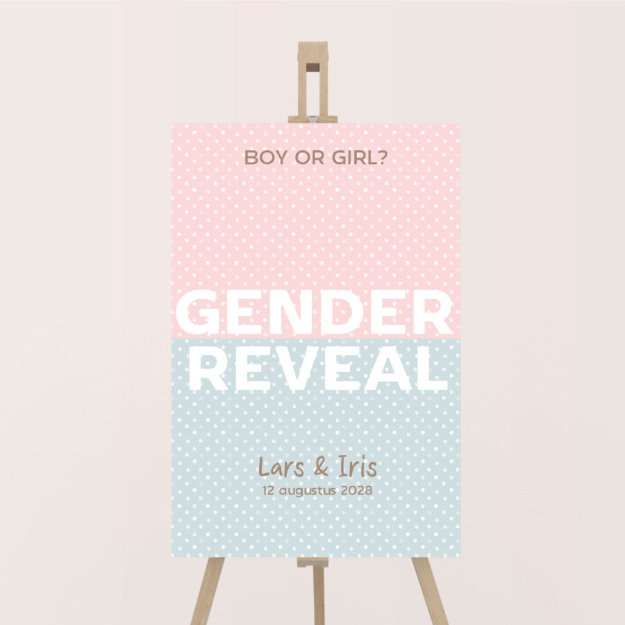 Welkomstbord-Genderreveal-gestipt
